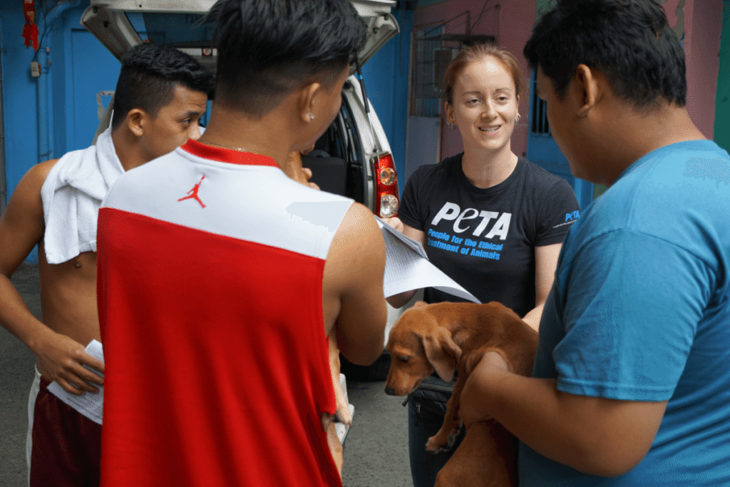 morning is waiting to be taken to the vets to get neutered.