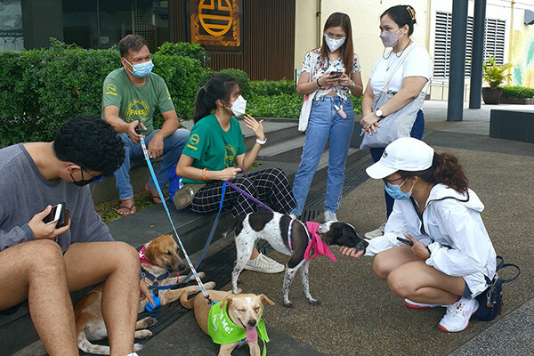 adoption counseling volunteers